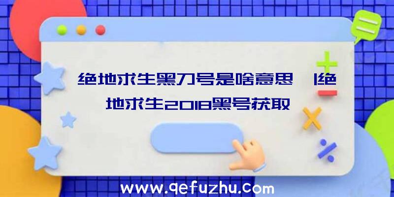 「绝地求生黑刀号是啥意思」|绝地求生2018黑号获取